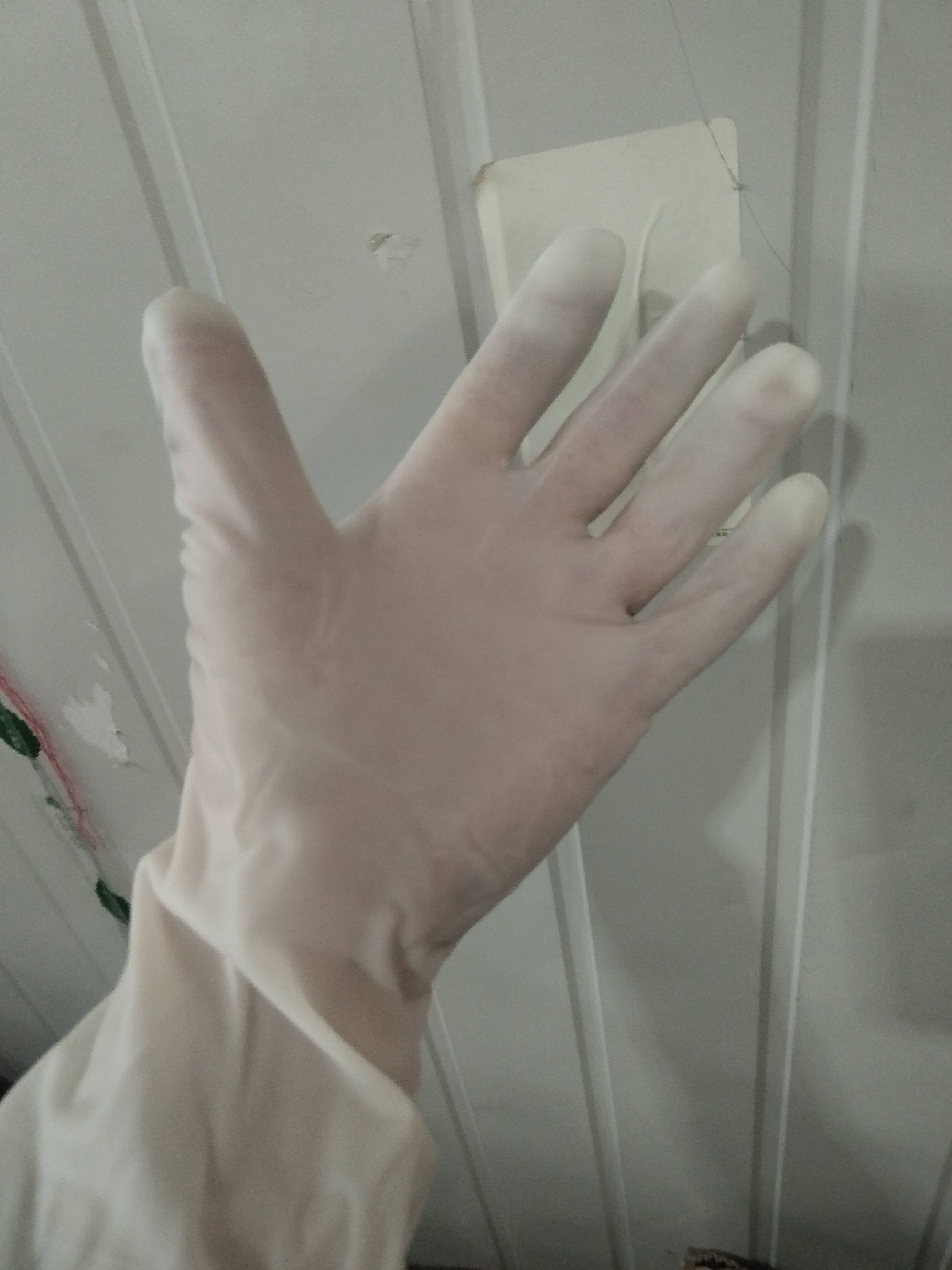 乳胶手套，独立精装，看好联系