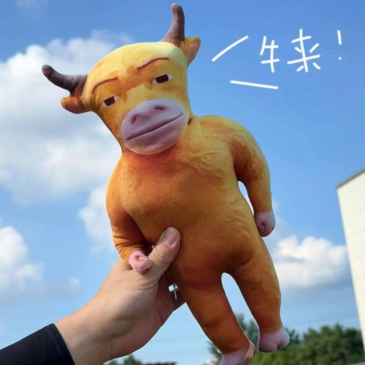 牛来有货需要联系