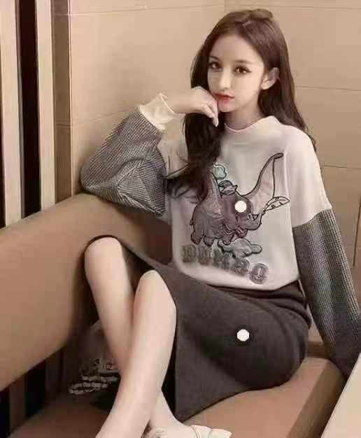 3️⃣品牌女装纯棉秋冬重工刺绣小象宽松显瘦加绒（婴儿一体绒）