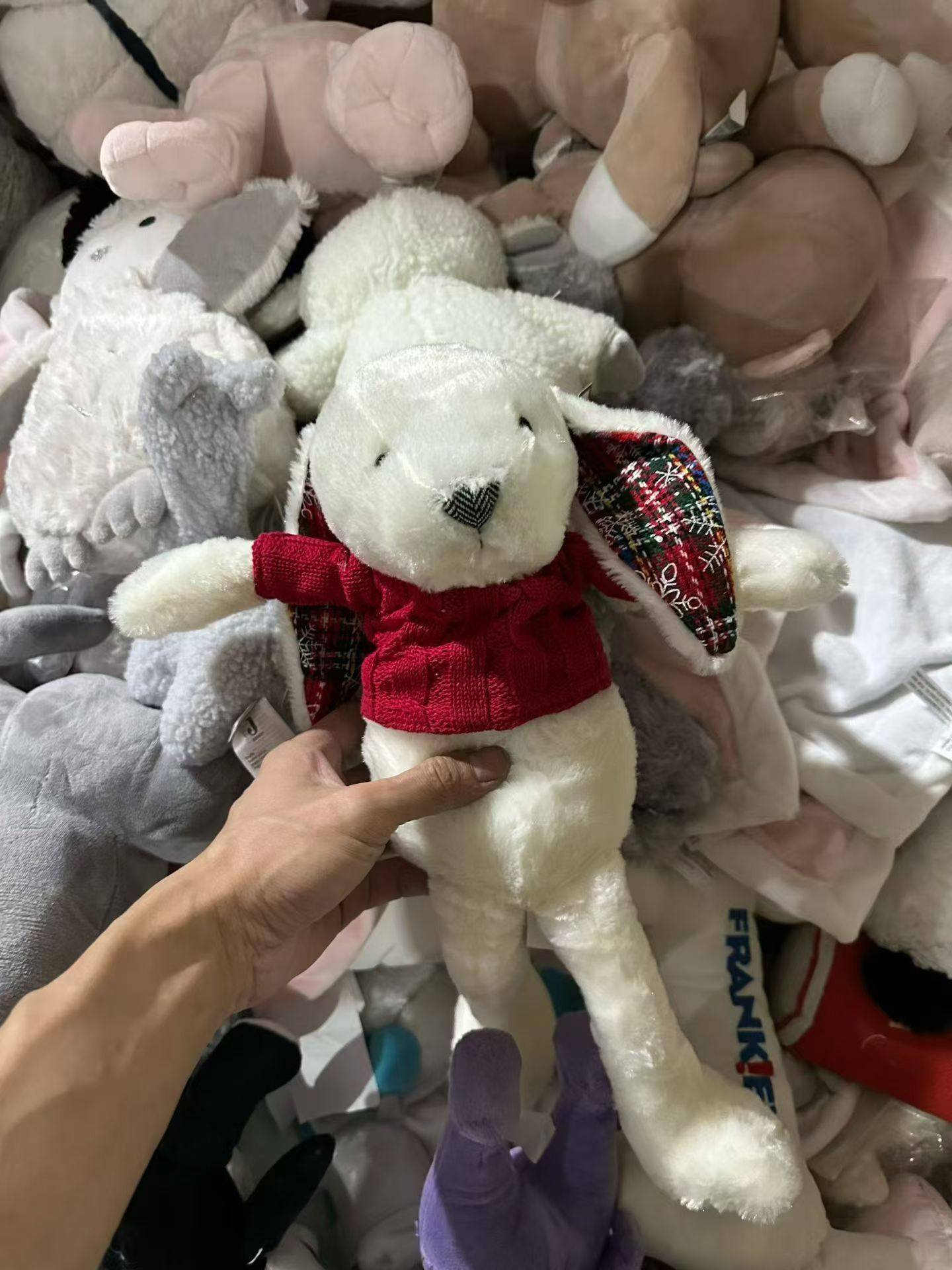 杂款毛绒玩具，一吨，开价就卖